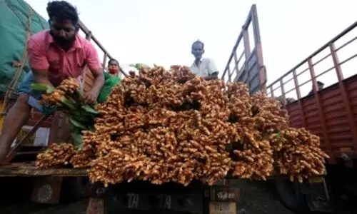 Erode turmeric farmers embrace e-NAM platform for better market prices