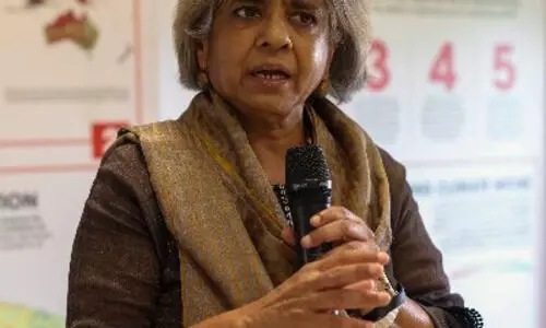 COP30: Developing nations risk lagging in global green economy transition