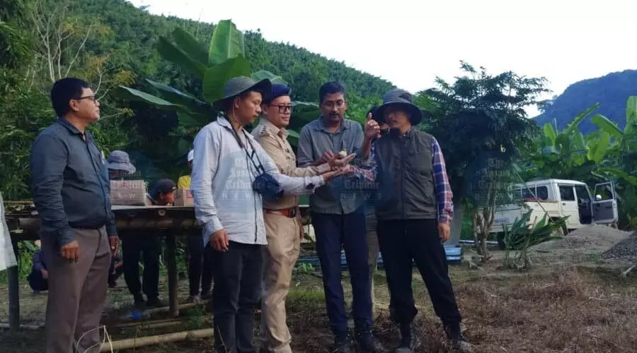 Manipur tags Apapang, Ahu, Alang to track world’s longest migratory journey Manipur tags Apapang, Ahu, Alang to track world’s longest migratory journey