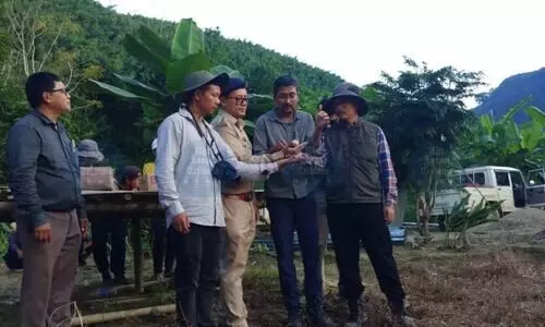 Manipur tags Apapang, Ahu, Alang to track world’s longest migratory journey