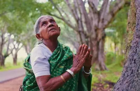 Padma Shri awardee and famed environmentalist Thimmakka passes away at 114