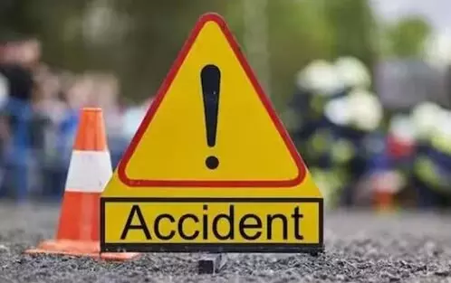 Car overturns after collision with animal in Rajasthan, three dead