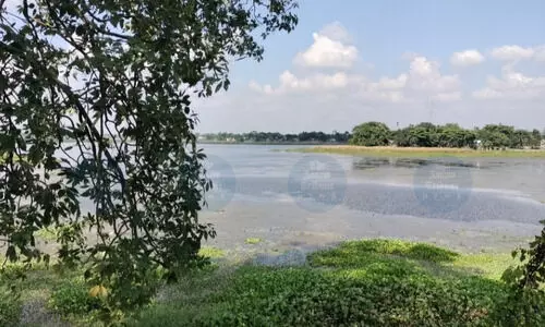 Laukhowa Beel’s decline casts shadow on legacy of Goalpariya folk culture