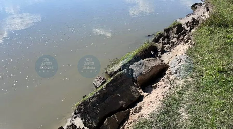 Fresh Dikrong erosion sparks fear among Lakhimpur villagers Fresh Dikrong erosion sparks fear among Lakhimpur villagers