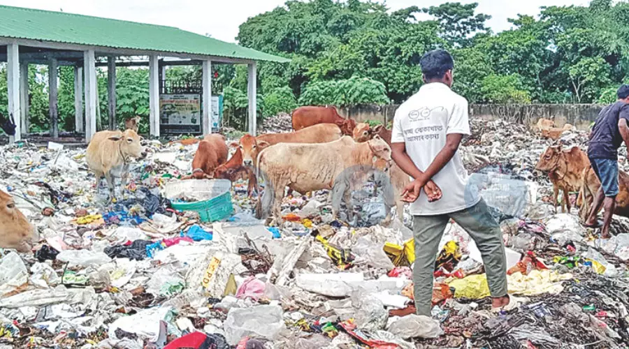 APCB orders relocation of waste facilities threatening Kaziranga National Park