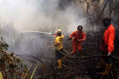 Japan’s Oita fire leaves one dead, over 170 buildings damaged in major blaze