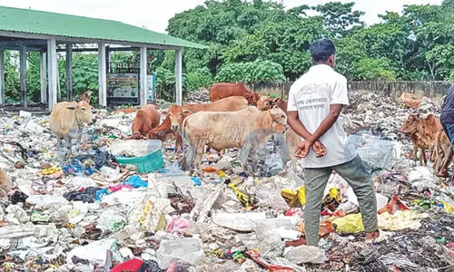 APCB orders relocation of waste facilities threatening Kaziranga National Park