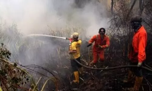 Japan’s Oita fire leaves one dead, over 170 buildings damaged in major blaze