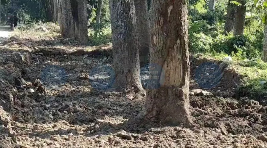 Medical college pipeline under fire as 13 trees wither along key Biswanath stretch