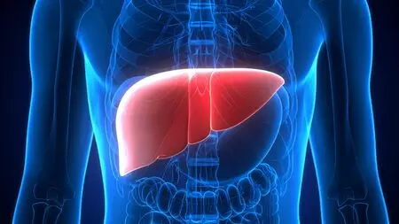 India stands out as a pioneer in living donor liver transplant procedures India stands out as a pioneer in living donor liver transplant procedures