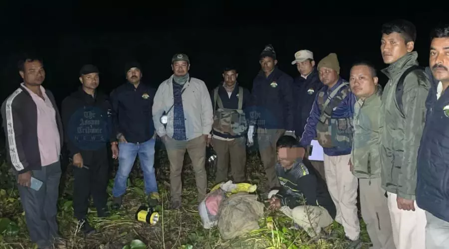 Five held in Biswanath for possessing tiger bones, links to poaching under probe