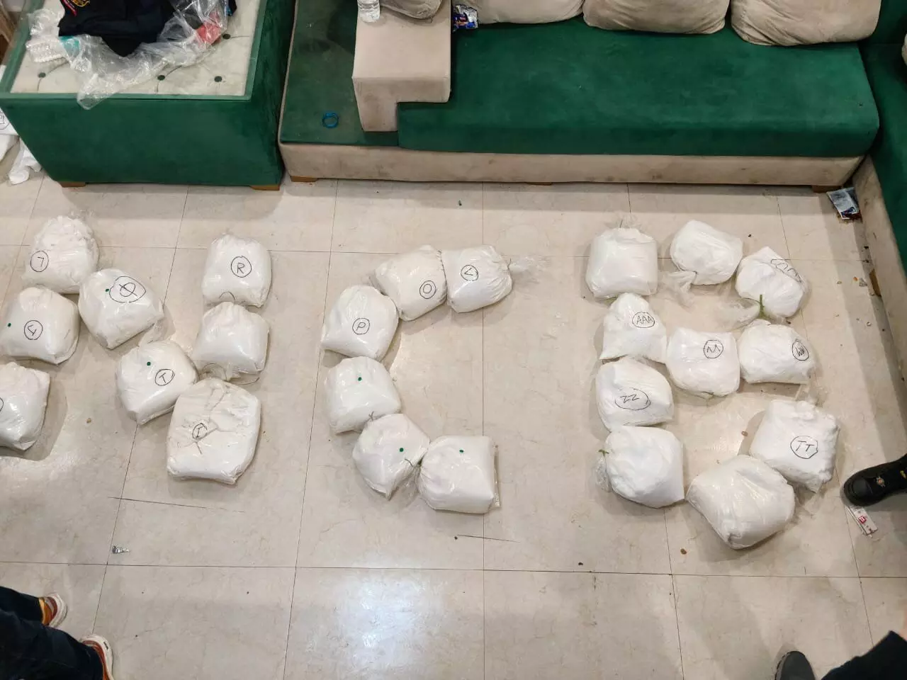 Operation Crystal Fortress: Naga woman held in Delhi after 329 kg meth haul Operation Crystal Fortress: Naga woman held in Delhi after 329 kg meth haul
