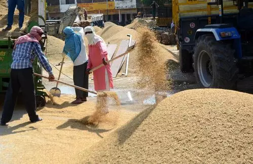 Labour reforms to create 77 lakh jobs, add ₹75,000 cr to consumption: SBI