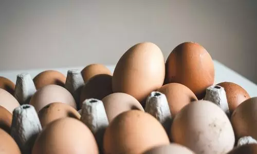 Egg prices soar to Rs 10 per piece in Assam, consumers reeling from sharp surge