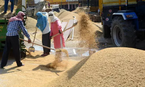 Labour reforms to create 77 lakh jobs, add ₹75,000 cr to consumption: SBI