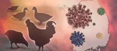 Fever-resistant bird flu strains could be more dangerous to humans Fever-resistant bird flu strains could be more dangerous to humans