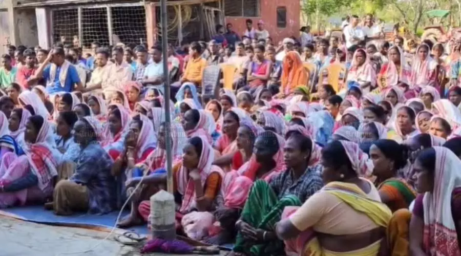 Jubilation among tea workers across Assam as Assembly moves to grant land pattas Jubilation among tea workers across Assam as Assembly moves to grant land pattas