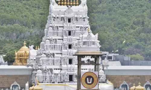 Laddu adulteration case: Tirumala temple official nabbed by SIT
