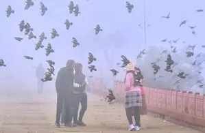 Rajasthan sees cold wave; several cities record temps under 10°C