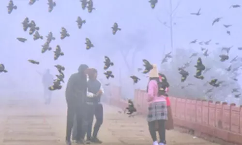 Rajasthan sees cold wave; several cities record temps under 10°C