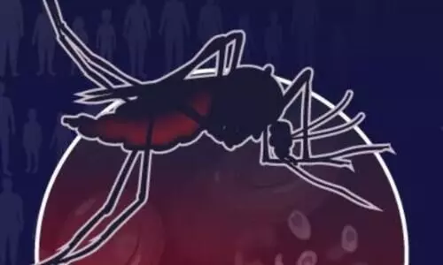 WHO: Malaria killed over 6 lakh in 2024; drug resistance a major threat