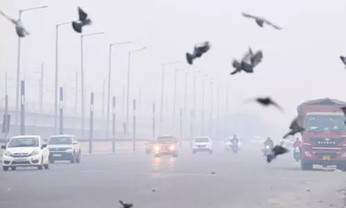 Air pollution may raise anxiety, trigger panic-like symptoms: Doctors