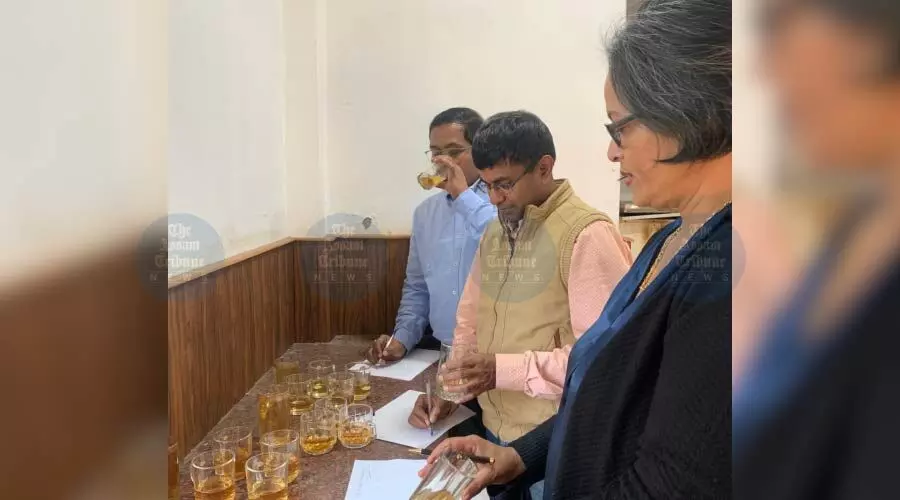 Nagaland University turns pineapple waste into high-quality vinegar Nagaland University turns pineapple waste into high-quality vinegar