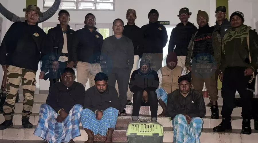 Five held in Kaziranga for hunting wild birds; rare Cotton Pygmy Goose rescued