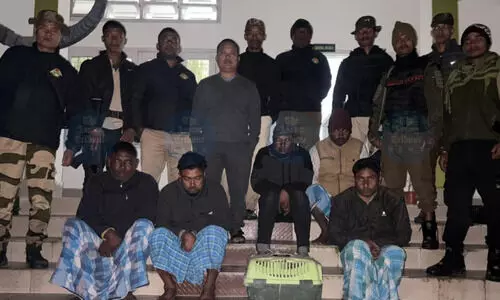 Five held in Kaziranga for hunting wild birds; rare Cotton Pygmy Goose rescued