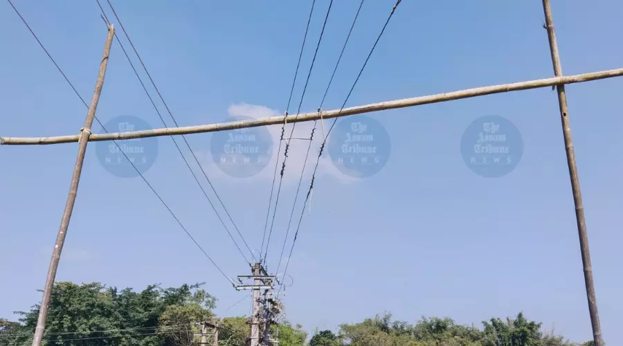 APDCL’s promises fall short as Nalbari village uses bamboo-pole power lines APDCL’s promises fall short as Nalbari village uses bamboo-pole power lines