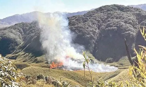 Nagaland seeks IAF aerial support as Dzukou Valley wildfire enters Day 3