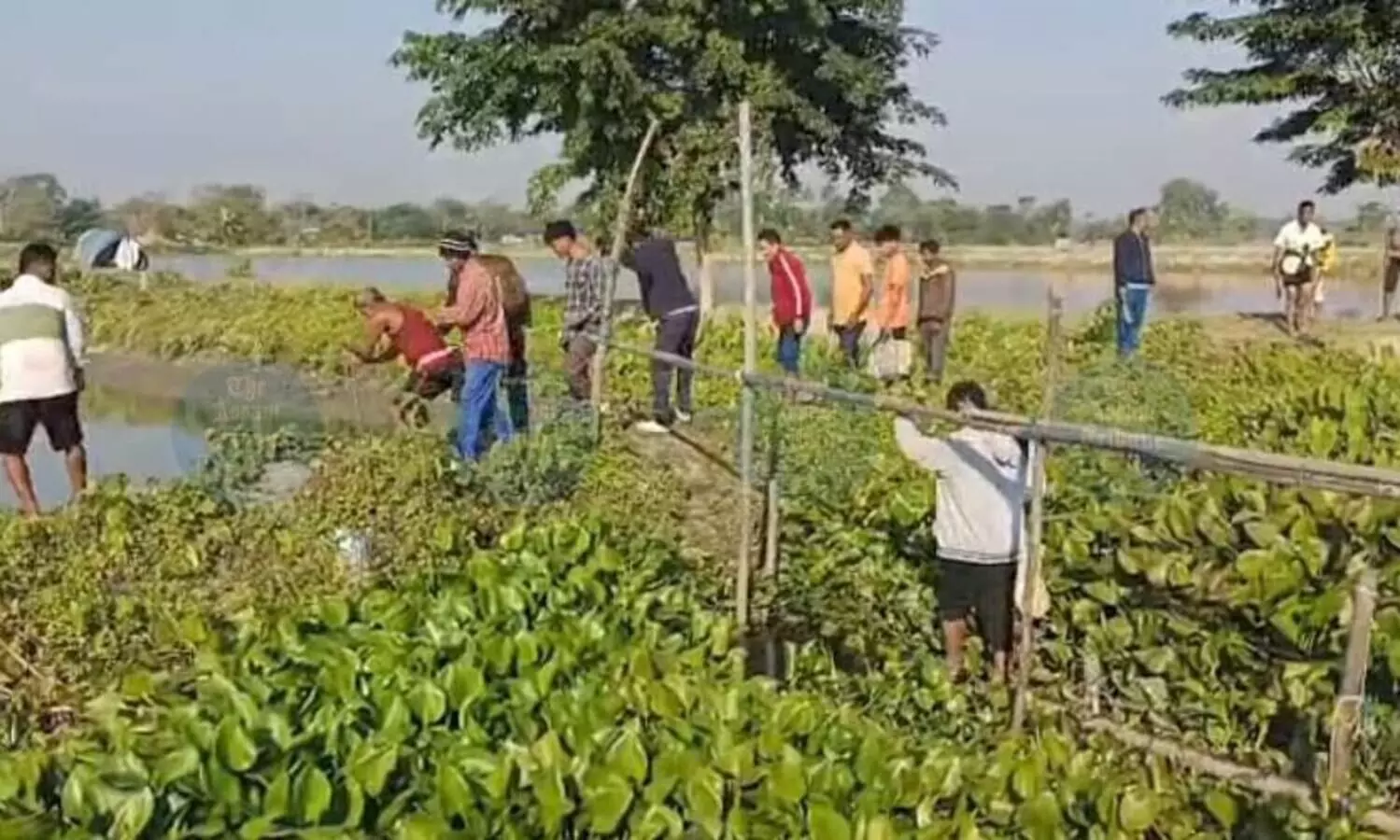 No bulldozers in Nagaon’s Dhing eviction drive as canals cleared manually