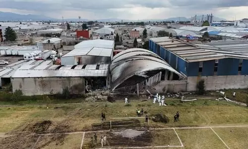 Small plane crash in Mexico leaves at least seven dead