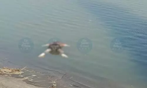 Brahmaputra mishap: Third body recovered in Kharghuli, search on for two others