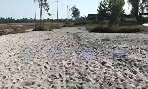 Lakhimpur farmers seek urgent flood control after Sesa River wreaks havoc