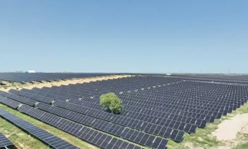 NTPC tops 85.5 GW capacity mark with fresh 359.58 MW solar boost