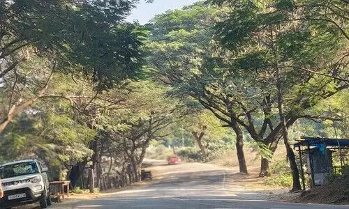 Rail flyover near Deepor Beel raises green concerns; Railways assure replantation