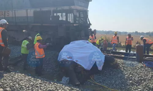 Deadly tracks: Why Assam’s railways are turning into elephant kill zones