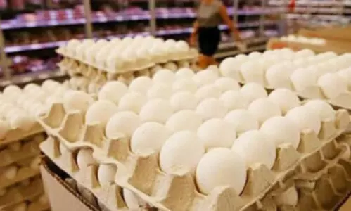 Eggs safe to eat; cancer risk claims misleading and unscientific: FSSAI