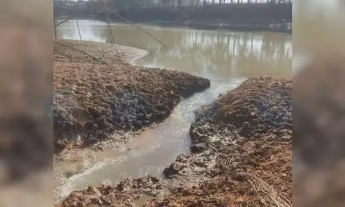 Drying Dorabeel–Kulsi channel raises alarm for dolphin survival in Kukurmara