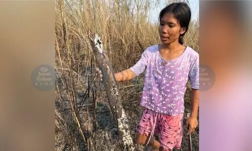 Massive fire destroys 5,000 trees at Mulai Kathoni 2.0 riverine forest