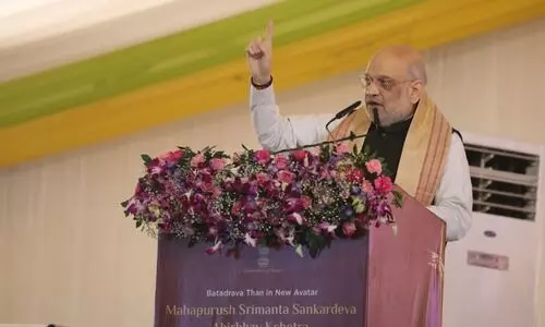 ‘Give us 5 more years to free Assam of illegal immigrants’: Shah at Bordowa