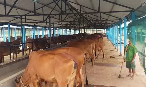 Darrang admin adds 3,709 bighas of govt land to Garukhuti project