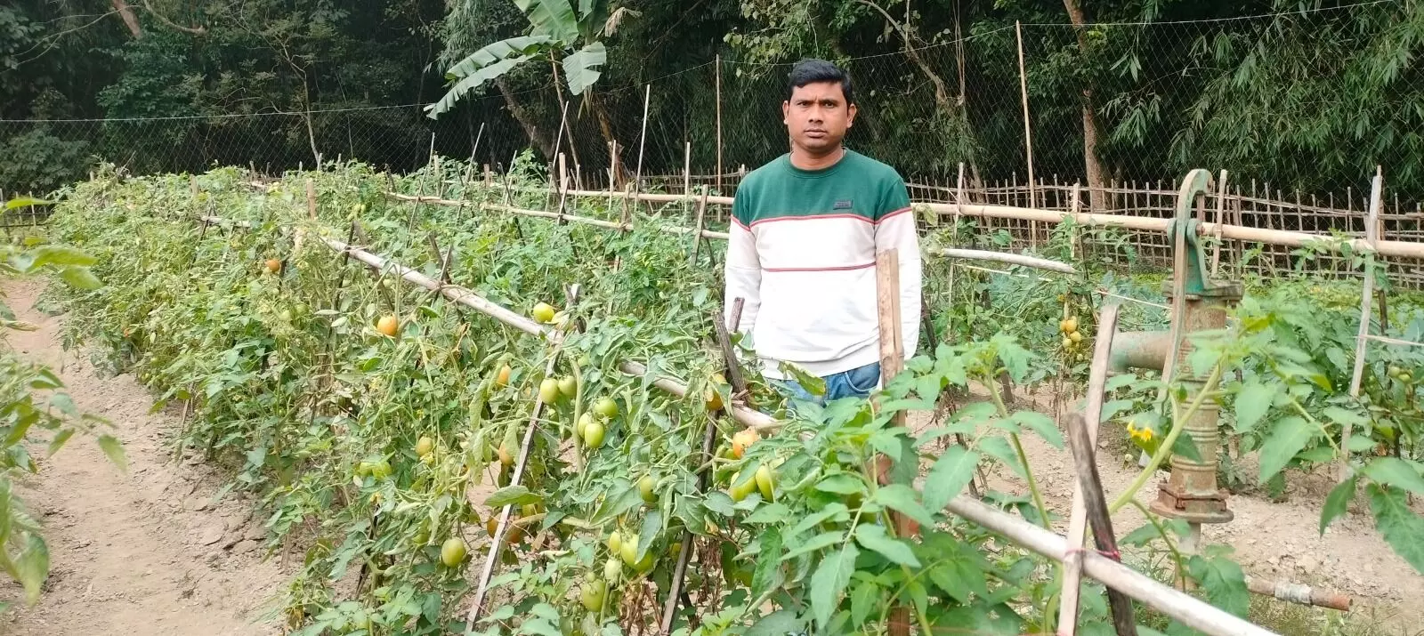Father-son duo in Patacharkuchi thrives with scientific, sustainable farming Father-son duo in Patacharkuchi thrives with scientific, sustainable farming