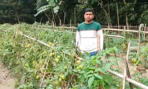 Father-son duo in Patacharkuchi thrives with scientific, sustainable farming