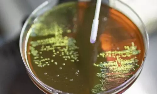 Study flags high superbug load in Delhi as public health risk