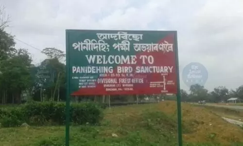 Satellite study flags rapid loss of green cover in Assam’s protected areas