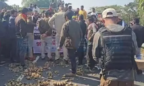 Sadiya potato farmers protest market failure, dump produce on road