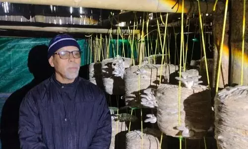Bajali farmer sets self-reliance example through mushroom cultivation