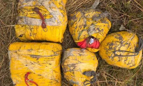 Punjab police seize 20 kg heroin; four suspects arrested in raid today